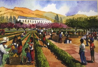Grapevine project image