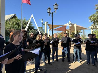Chamber singers
