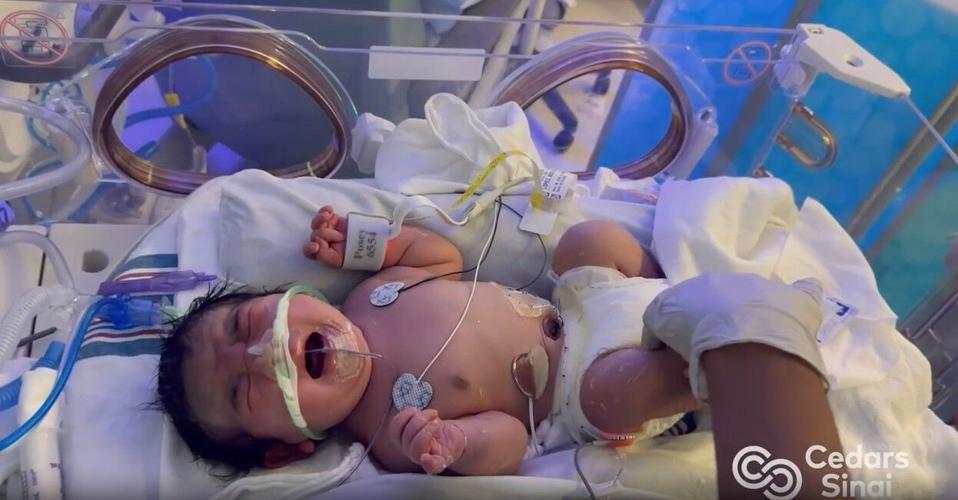 BabyIncubator.jpg
