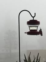 A change in the weather should be welcome, come rain or come shine