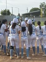 South's softball power duo of Gordon, Terrance leads to walkover playoff win