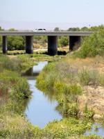 LOIS HENRY: State Supreme Court may hear Kern River arguments in September