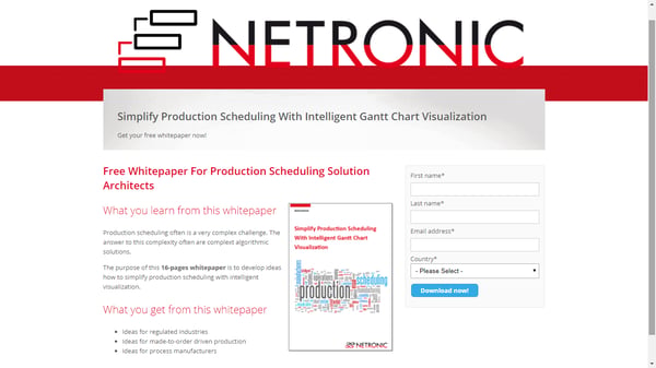 Estrategia de Marketing visual-NETRONIC